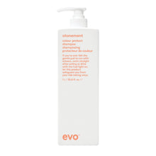 Load image into Gallery viewer, Evo Atonement Colour Protect Shampoo
